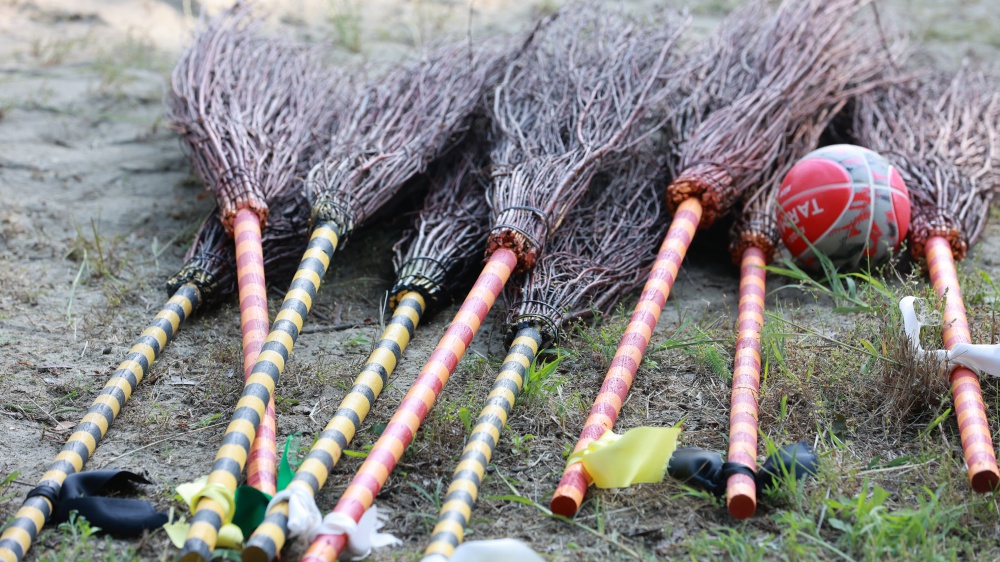 Harry Potter: Campioni di Quidditch, il videogioco dedicato allo sport dei maghi