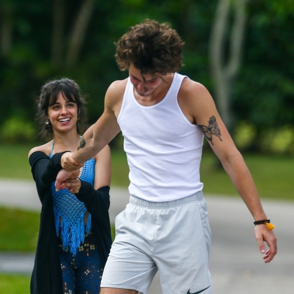 Camila Cabello e Shawn Mendes stanno ufficialmente insieme? Ecco le