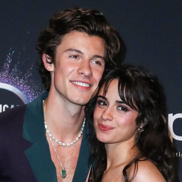 Camila Cabello e Shawn Mendes la cantante svela il vero motivo della